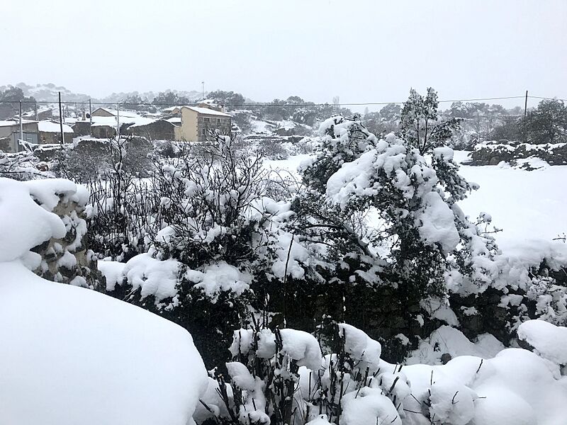 Valdemolinos nevado