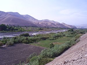 Archivo:Vallemoquegua2