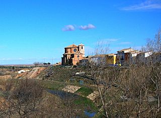 Vinaceite47.JPG