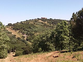 20190518-tentudia.jpg