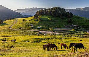 Archivo:2019 - Tusheti National Park - Morning in the Upper Omalo