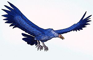 Archivo:Argentavis magnificens