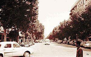 Archivo:Avenida del Gran Capitán