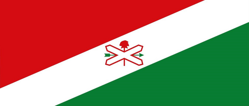 Bandera Laguna Paiva