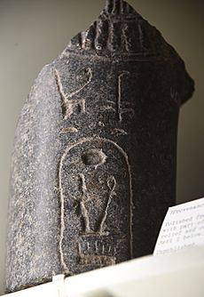 Archivo:Basalt fragment. Part of a necklace, in relief, is shown together with a cartouche of Seti I. 19th Dynasty. From Egypt. The Petrie Museum of Egyptian Archaeology, London