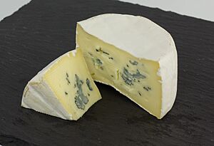 Archivo:Bavaria blu 01 WikiCheese Lokal K