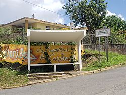 Cañaboncito, Caguas, Puerto Rico.jpg