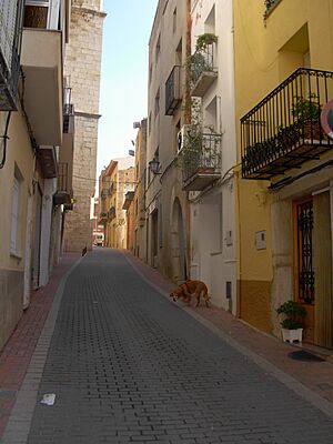 Archivo:Calig
