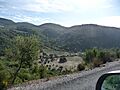ChaparroDeLaVega-P1050927