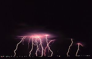 Archivo:Cloud-to-ground lightning2 - NOAA