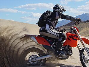 Archivo:DumontDunes 2005-04-25 paddle-tire