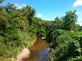 El Río Piedras.jpg