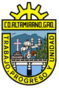 Escudo de Ciudad Altamirano.png