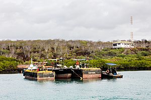 Archivo:Estación de gasolina náutica, isla Baltra, islas Galápagos, Ecuador, 2015-07-23, DD 44