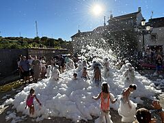 Fiesta de la Espuma Renales