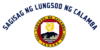 Flag of Calamba, Laguna.png