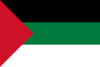 Flag of Hejaz (1917).svg