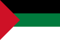Flag of Hejaz (1917)