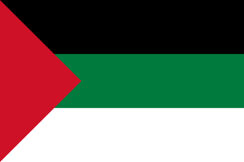 Flag of Hejaz (1917)