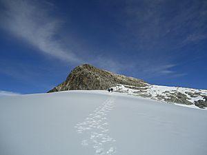 Archivo:Glacial Pico Humboldt 6