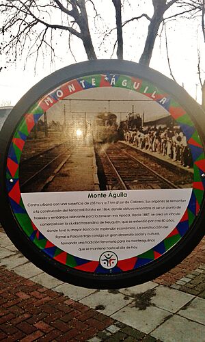 Archivo:Inauguracion Nueva Plaza de Monte Aguila 2017 (48)