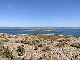 Isla de los Pájaros (Santa Cruz).jpg