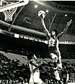 Julius Erving Nets (3)