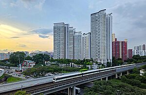 Archivo:Jurong East 202406 5