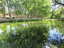 Las Jarillas, Cordoba, Argentina 01.jpg
