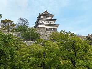 Archivo:Marugame Castle, Tenshu 002