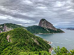 Monumento Natural dos Morros do Pão de Açúcar e Urca por Cesar Vieira (23).jpg