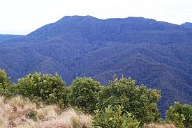 Mount Royal - from Mount Cabrebald.jpg