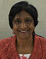 Navi Pillay June 2014