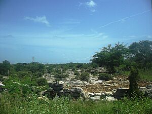 Archivo:Nohuayún, Yucatán (09)