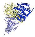 PDH-Pyruvate dehydrogenase