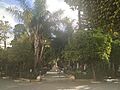 Plaza de la Candelaria (1)