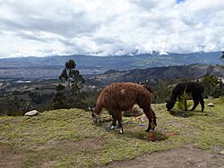Pucara Tambo Ecuador 960.jpg