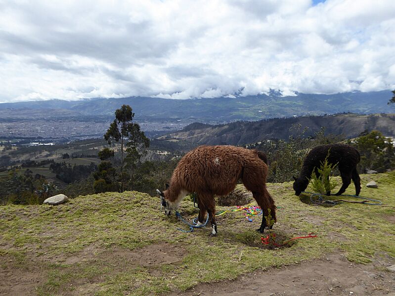 Pucara Tambo Ecuador 960