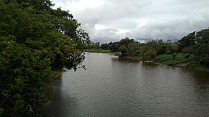Archivo:Río Pilcomayo hacia desembocadura desde Puente San Ignacio
