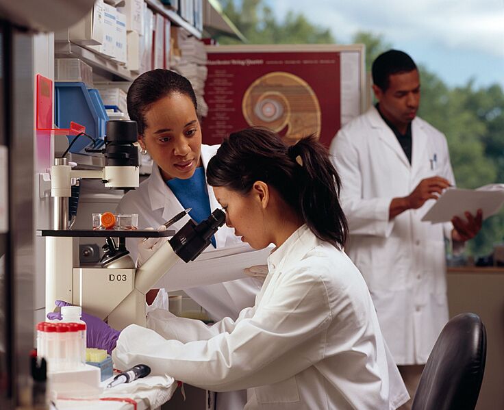 Researchers in laboratory