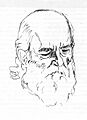Retrato jonuel brigue