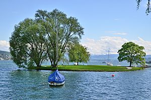 Archivo:Saffa-Insel - Zürichsee in Zürich - Landiwiese 2015-05-06 14-26-41