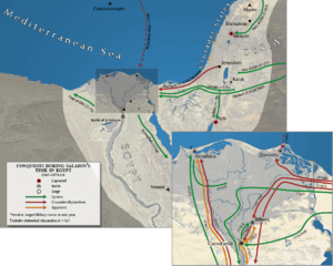 Mapa con las diversas campañas de Saladino y su tío en Egipto.