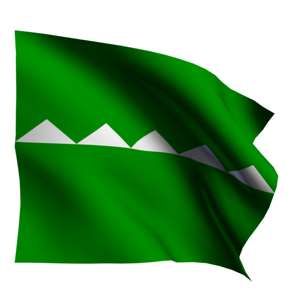 Salinas Puerto Rico Flag 2024