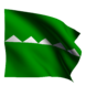 Salinas Puerto Rico Flag 2024.png