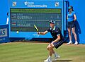 Sam Querrey (35530640385)