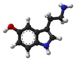 Serotonin-Spartan-HF-based-on-xtal-3D-balls-web.png