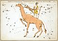 Sidney Hall - Urania's Mirror - Camelopardalis, Tarandus and Custos Messium