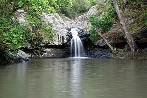 Archivo:Sunshine Coast, Queensland - Kondalilla falls