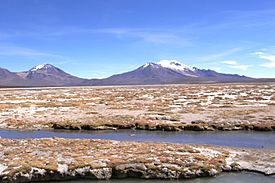 Thermes de Polloquere (sud du salar de Surire).jpg